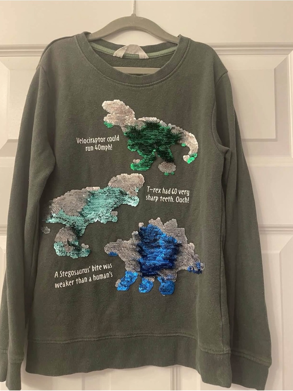 Flip-sequin dinosaur sweatshirt 8/10